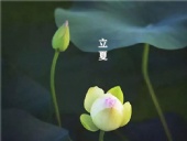 立夏已至,萬物向陽;